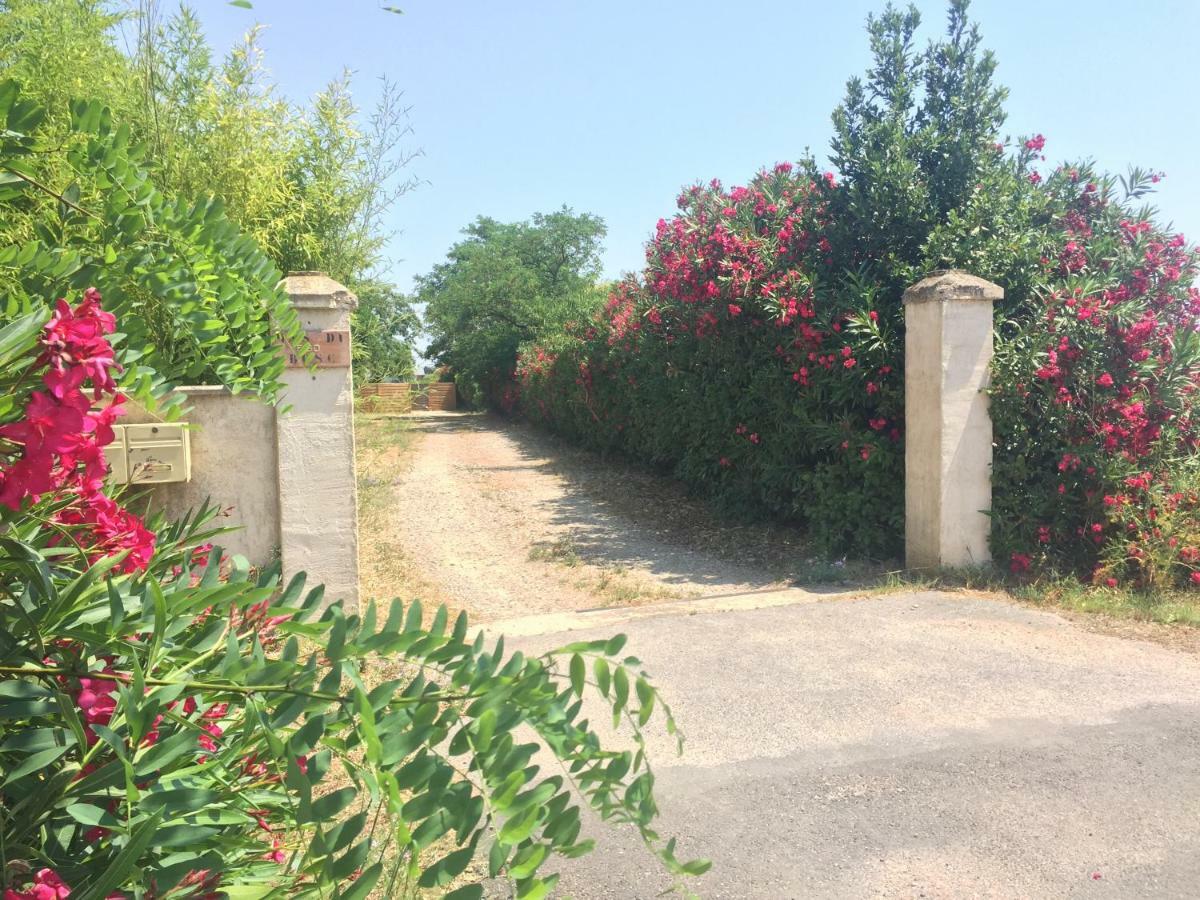 Apartament Le Mas Du Bosc Mauguio Zewnętrze zdjęcie